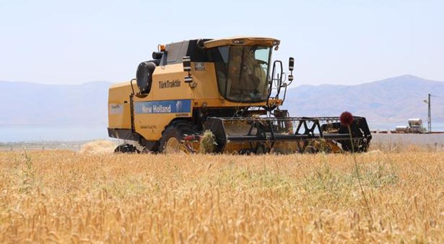Yılın ilk hasadı başladı ama çiftçi hayal kırıklığı yaşadı Beklenmeyen kayıp