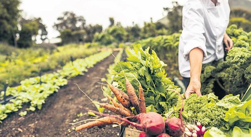 Tarlada ‘4.0’ dönemi Çiftçiye tarladan anlık bilgi