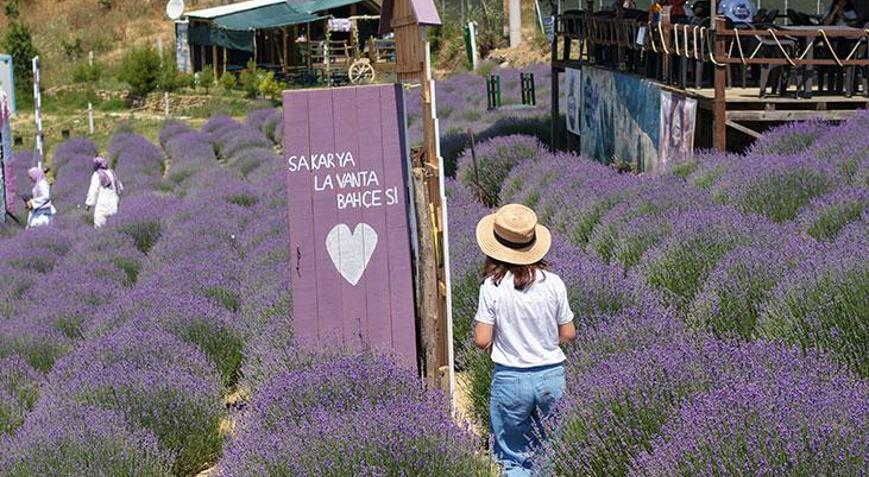Türkiye Kültür Yolu Festivalinin yeni durağı Sakarya