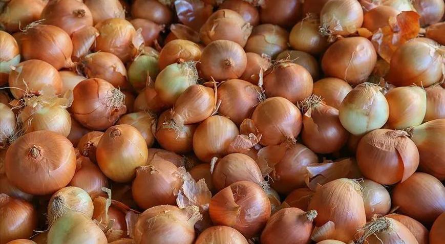 İstanbul’da Haziran ayında en çok kuru soğan pahalandı