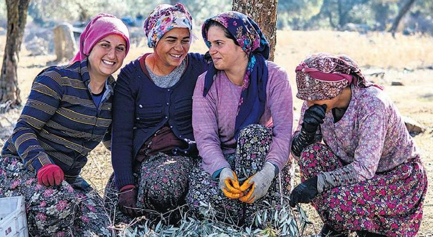 Ölmez ağacın gölgesinde gelecek yetişiyor