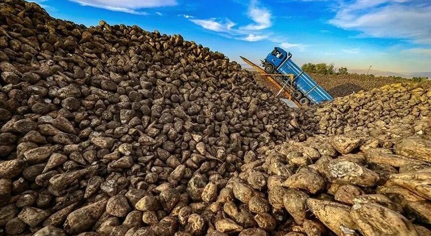 Sözleşmeli pancar üreticilerine 2,8 milyar lira avans ödemesi yapıldı