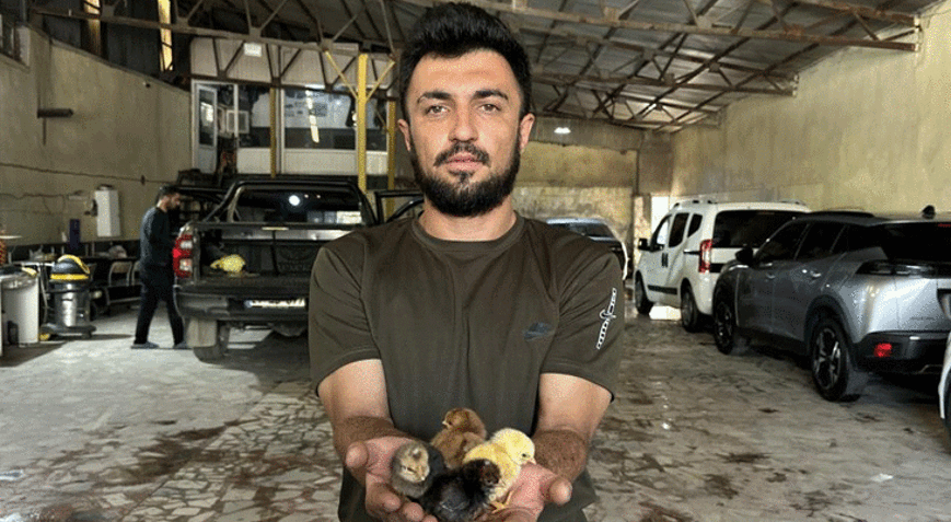 Bir belgesel izledi, hayatı değişti Oto yıkamacı içinde kuluçka makinesi