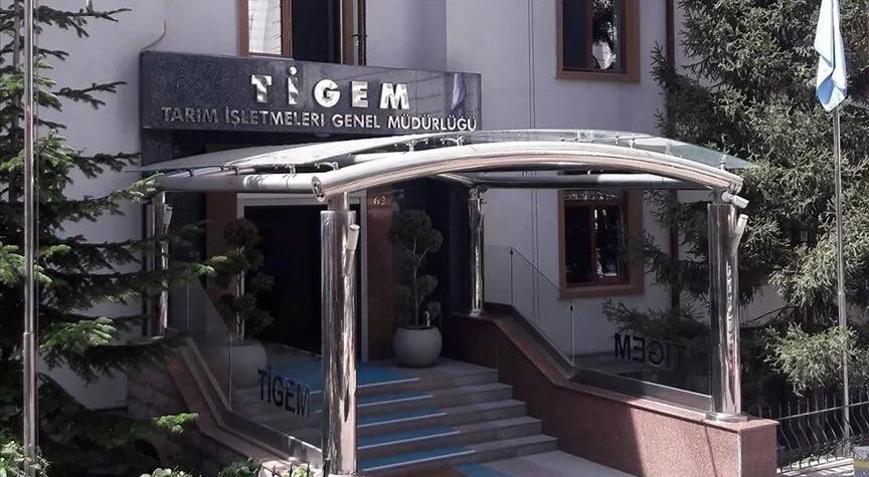 Hayvan varlığı 400 bini aşan TİGEMden damızlık desteği