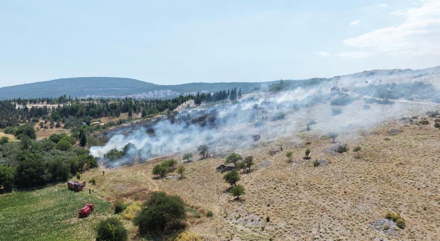 Muğlada orman ve tarım alanında çıkan yangına müdahale ediliyor
