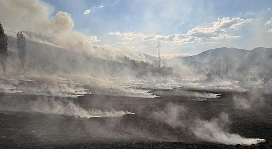 Çorum alevlere teslim oldu Ormana sıçrayan yangın kontrol altına alındı