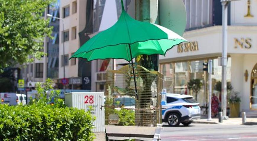 İzmir sokaklarının yeni fenomeni Şakiri kaybedince Shakira için yeni çözüm buldu
