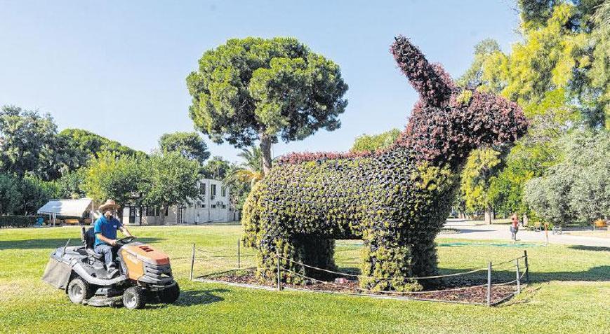 Kültürpark’a sukulent makyajı