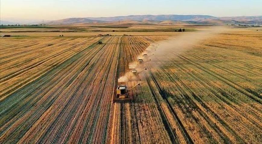 Tarımsal girdi fiyat endeksi mayısta arttı
