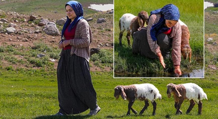 3 bin 300 rakımlı yaylada sıra dışı dostluk: Nereye gitsem benim peşimde