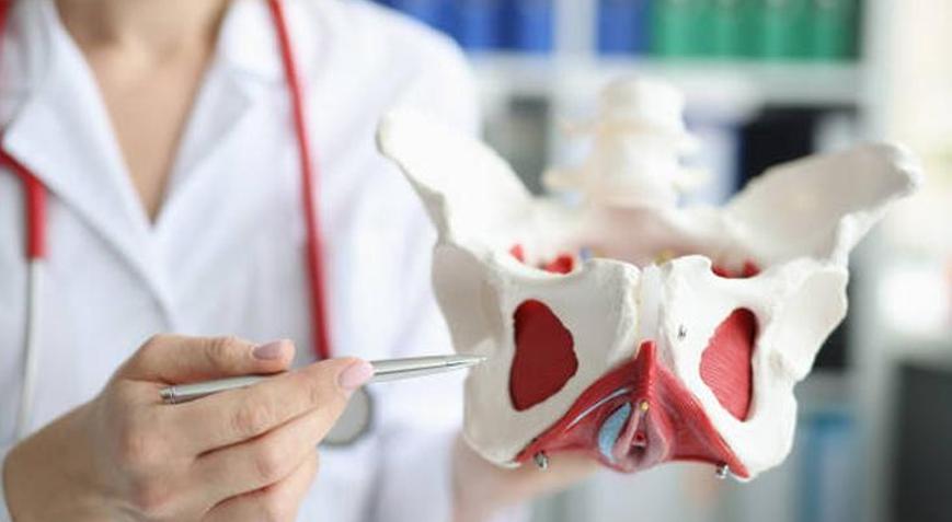 Geçmeyen kabızlık ya da gülerken idrar kaçırıyorsanız nedeni pelvik taban olabilir
