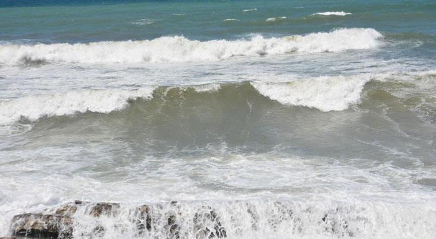 Beykoz ve Sarıyerde yarın denize girilmesine izin verilmeyecek