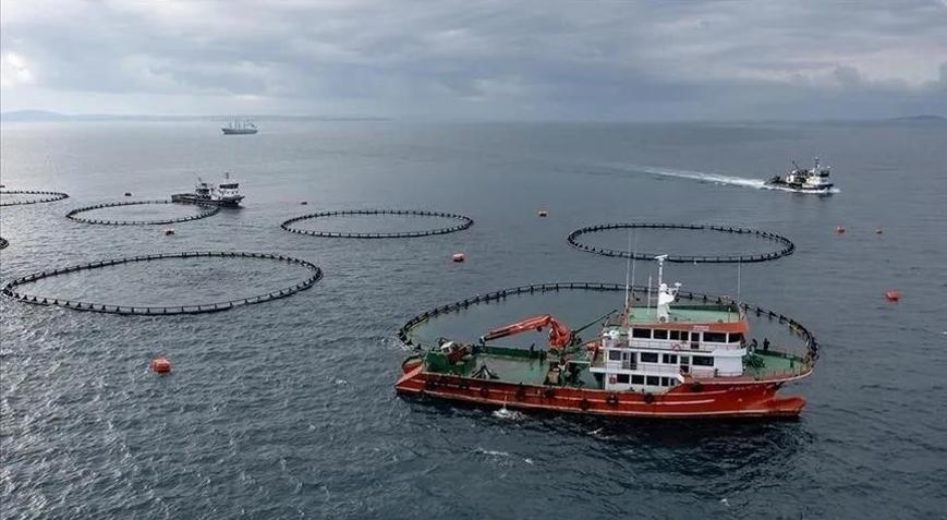 Karadenizin su ürünleri ihracatı 186 milyon doları aştı
