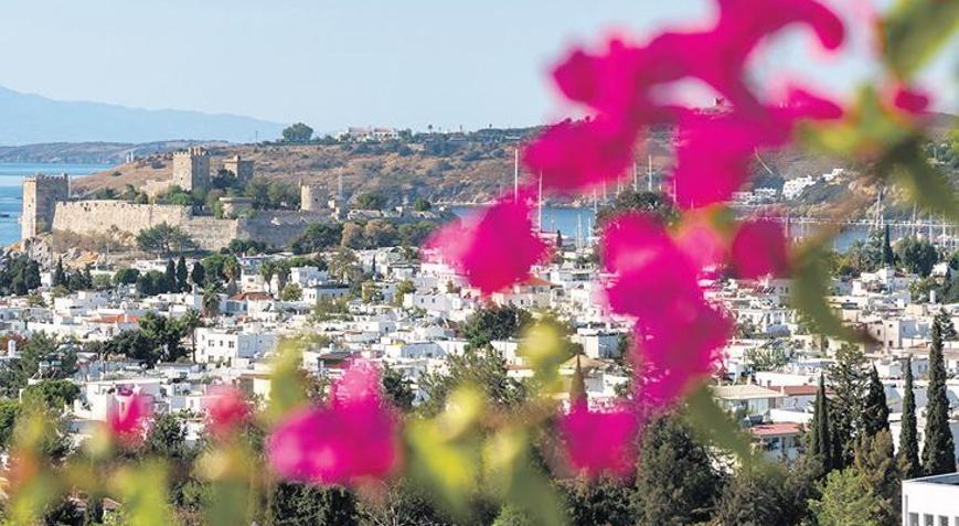 Mavi sürgünün yeşil mirası: Botanikçi Halikarnas Balıkçısı