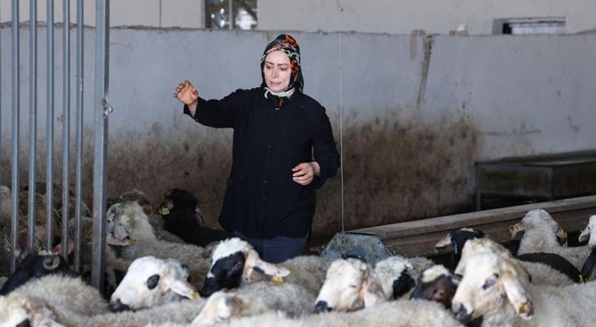 3 çocuk annesi, devlet desteğiyle çiftlik kurdu