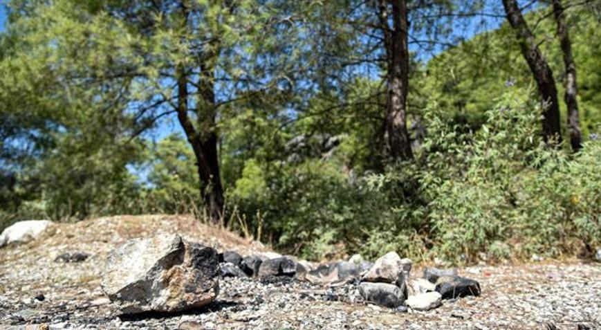 Ormanda pes dedirten görüntü Uyarı tabelasının dibinde mangal yaktılar, cezaları umursamadılar
