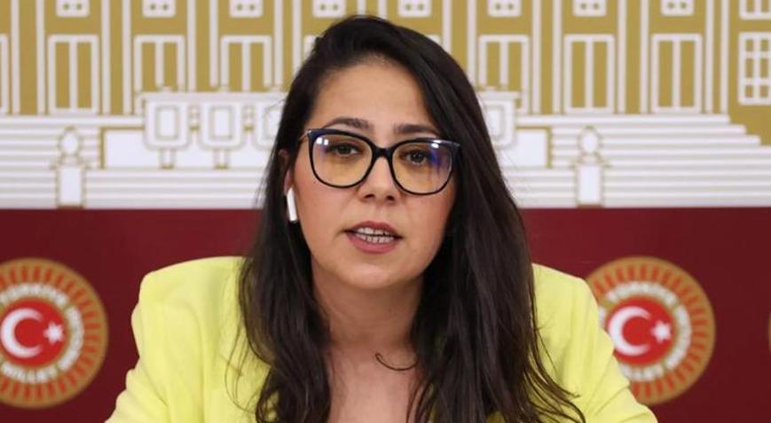 TİP Milletvekili Sera Kadıgil'e soruşturma