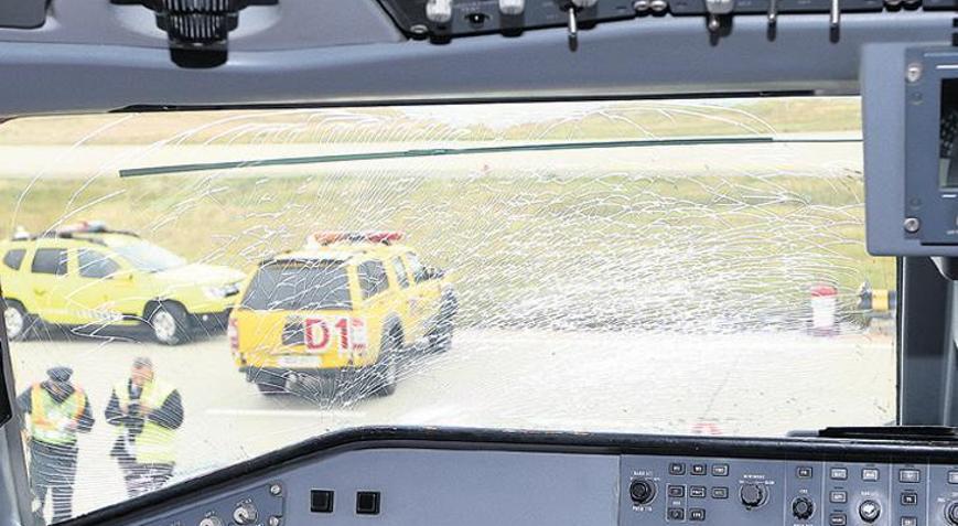 Sivil uçuş emniyetinde en çok kuş çarpması sorun oldu