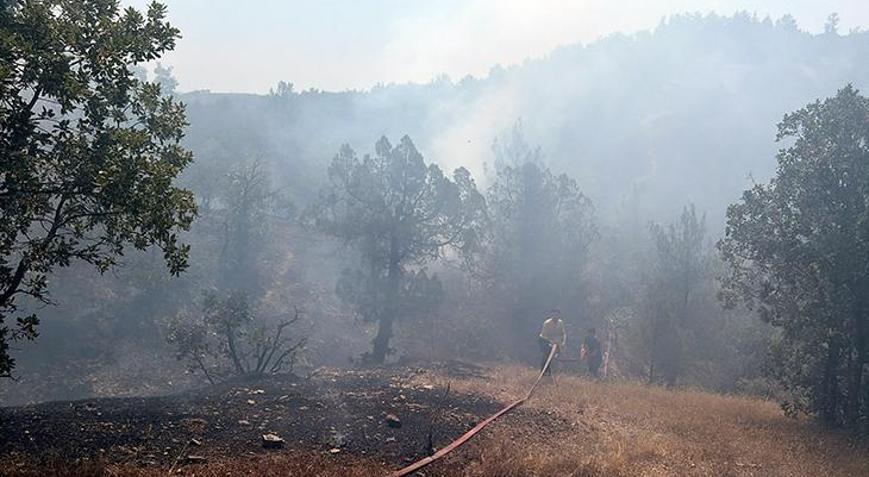 Bursada orman yangını Havadan ve karadan müdahale