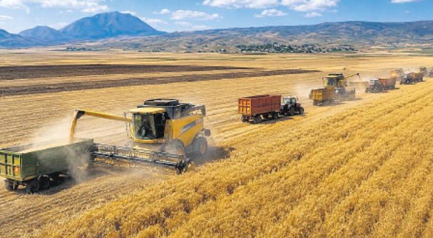 İçeride TMO desteği, dışarıda ‘Karadeniz’ krizi fiyatı artırıyor Buğdayda rekor karşılık buldu