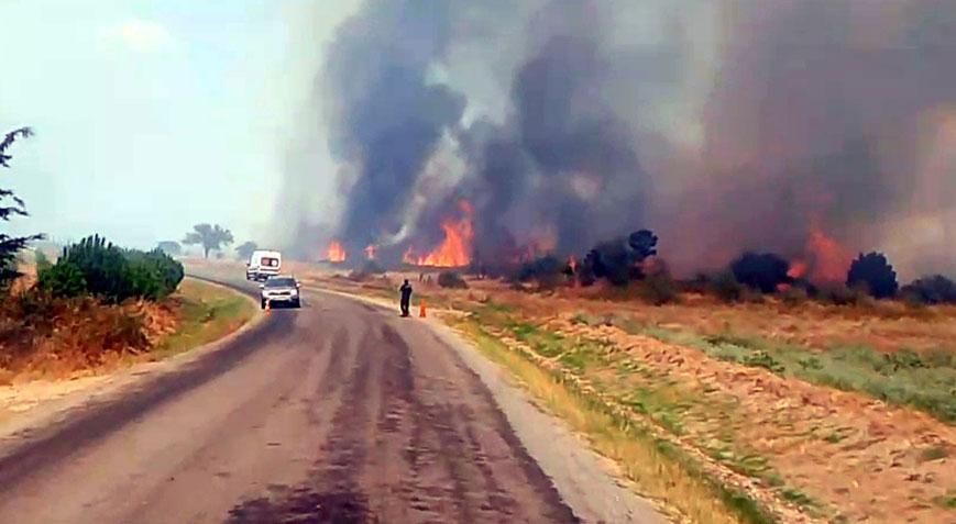 Edirnede orman yangını Alevler kontrol altına alındı