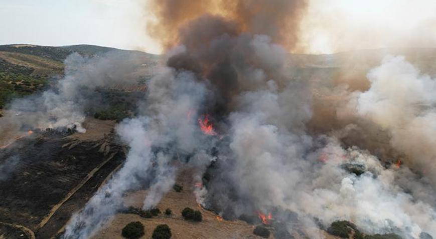 Manisada orman yangını Havadan ve karadan dev müdahale