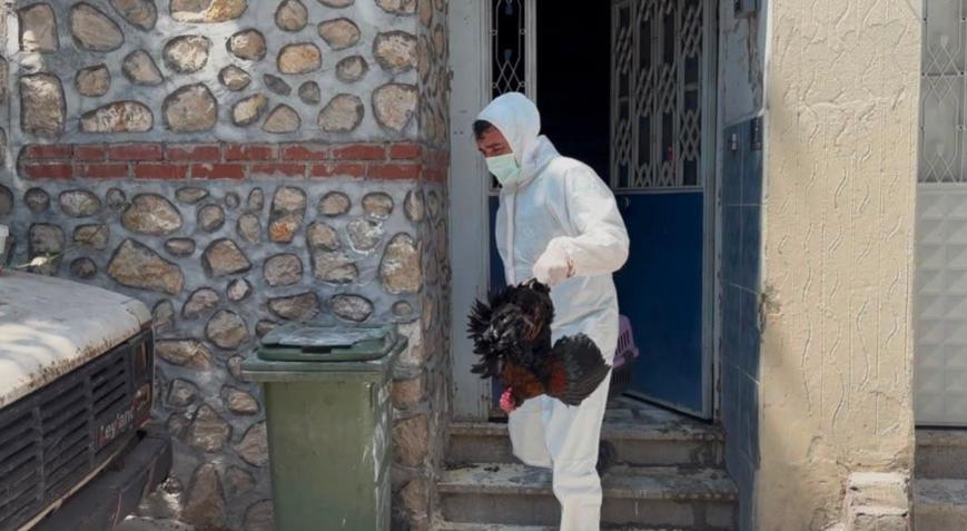 Mahalle pire istilasıyla karşı karşıya kaldı 3 katlı binadan çıkanlar şaşkına çevirdi