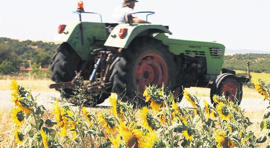 Hasadından yüksek verim bekleniyor