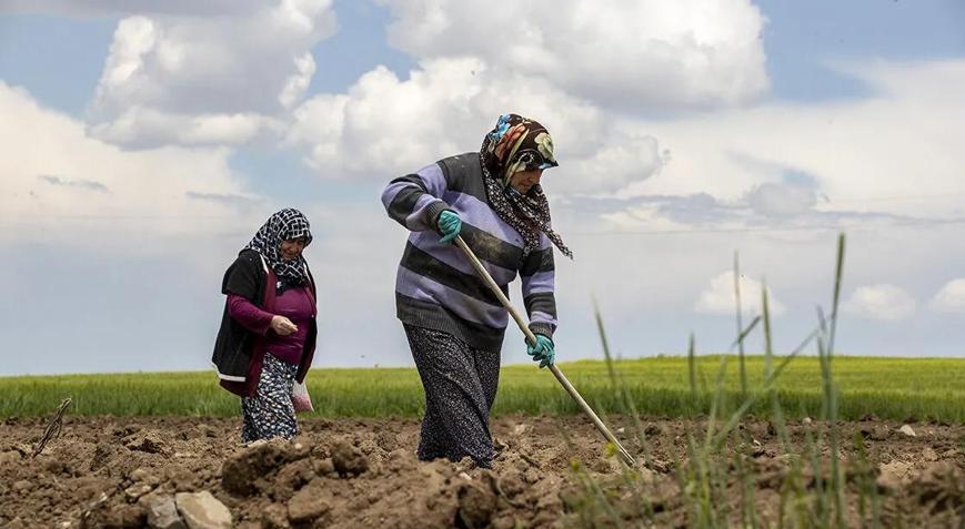 Çiftçilere yılın ilk yarısında 106 milyar lira tarımsal destek ödemesi yapıldı