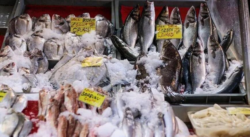 Egenin su ürünleri ve hayvansal mamuller ihracatı 2 milyar doları aştı
