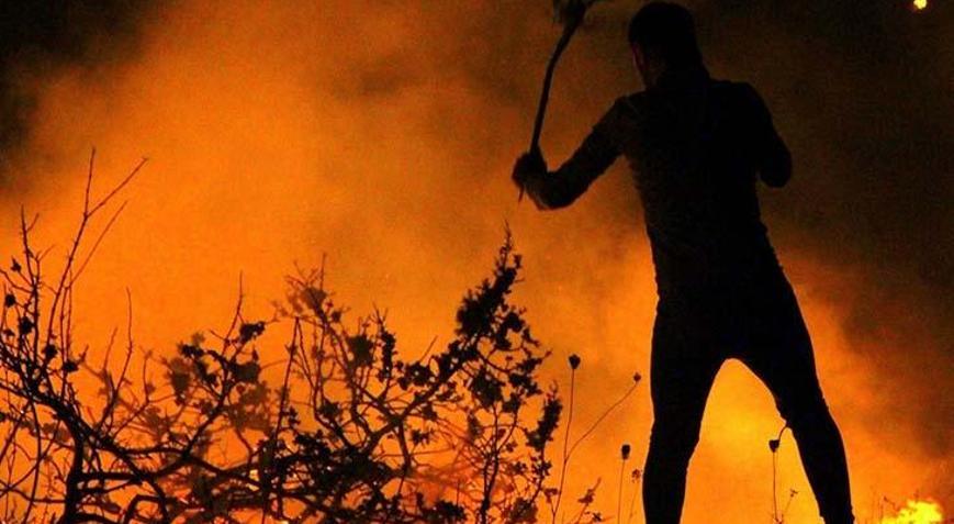 Orman yangınlarında 43 şüpheli tespit edildi: 11 kişi tutuklandı