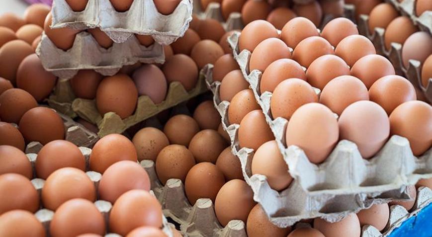 Ülkede yeni salgın Yumurtalara dikkat: 207 vaka tespit edildi