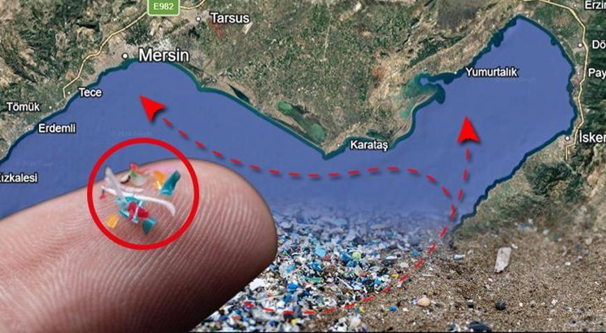 İl il eylem planı hazırlanıyor Denizde sürüklenip Mersin’e ulaşıyor: ‘Adana’da güzellik konuşulmalı’