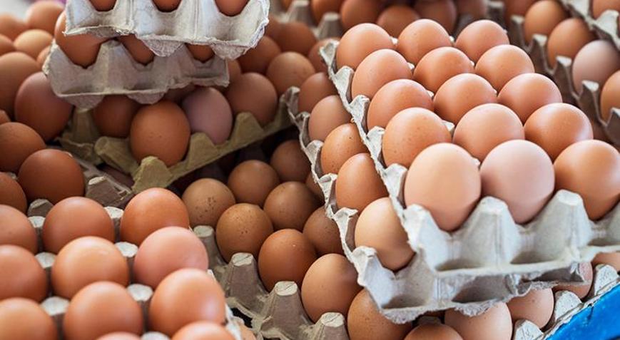 306 kişi hastanelik oldu Yumurtalarda korkutan alarm: Tehlike sanılandan büyük, 8 ülkeye ulaştı