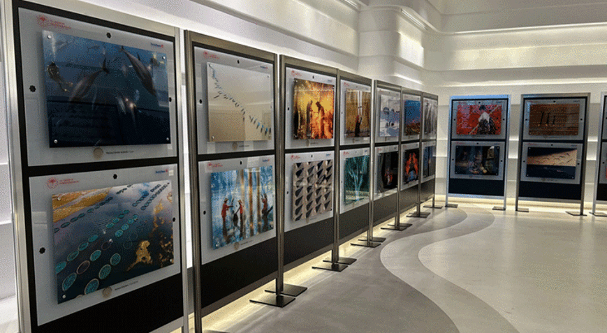16. Uluslararası Tarım Orman ve İnsan Fotoğraf Yarışması başvuruları için son günler
