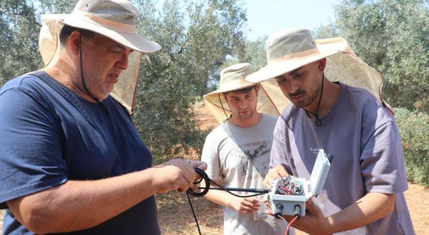 Doktorların kurduğu kooperatifte yapay zeka destekli zeytin üretimi başladı