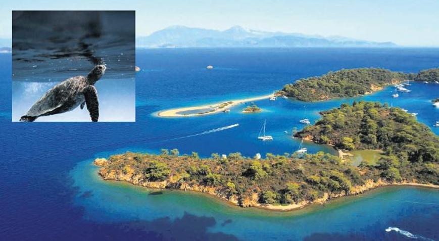 Deniz canlılarına koruma kalkanı