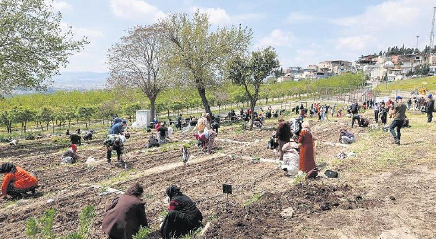 Mahalle Bostanı için kayıt zamanı