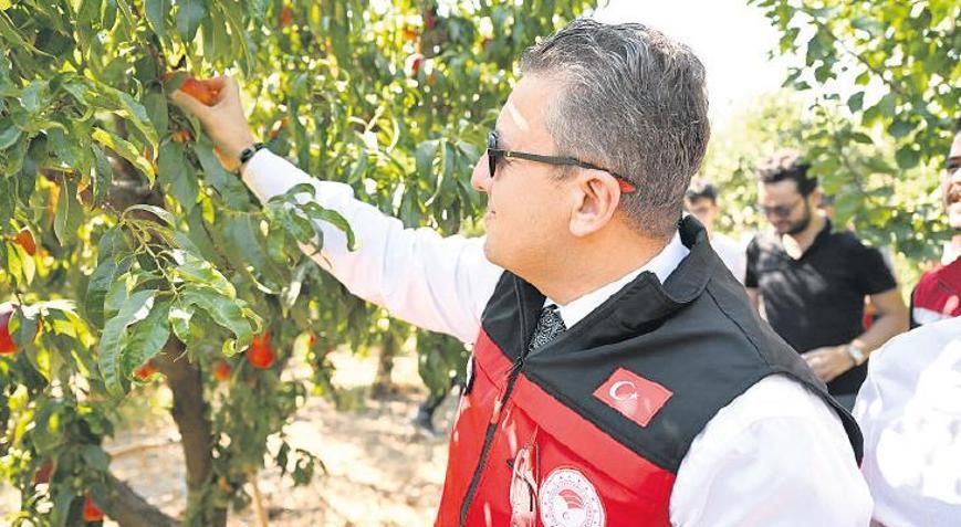 Tezgâhtan tarlaya ürün yolculuğu