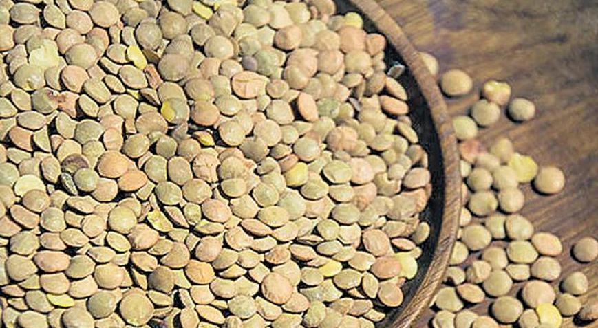 Yeşil mercimekte üretim yüzde 62 arttı Alım fiyatı 32 bin lira