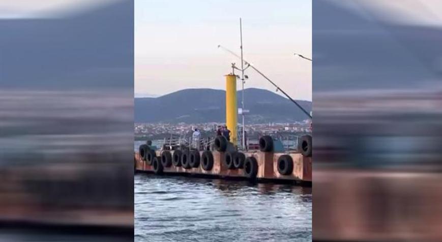 Kocaelide denizde erkek cesedi bulundu