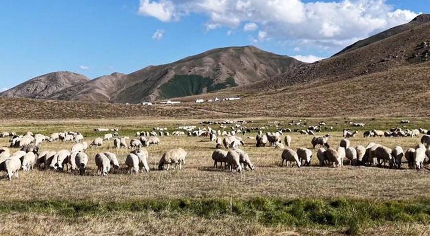 150 bin liralık işçi aranıyor: Başvuran yok
