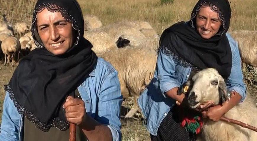 2 çocuk annesi yaylada çobanlık yapıyor Şimdi tek bir hayalin peşinde