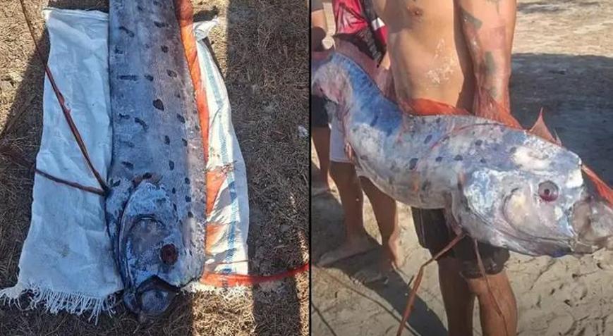 Kıyamet balığı sahile vurdu Ülkede tüyler ürperten tesadüf: 6 gün sonra patladı