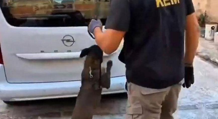 Balıkesir’de 109 bin adet sentetik ecza hapı ele geçirildi