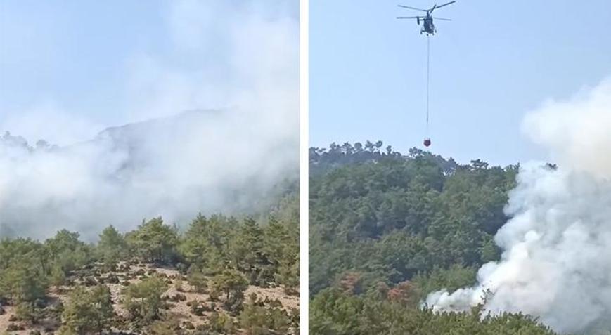 Son dakika... Adana Kozan’da orman yangını