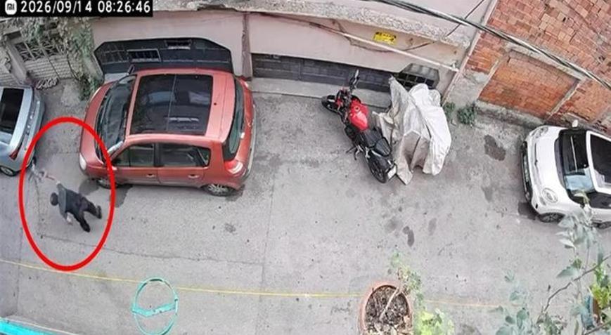 Bursada kucağında kediye şiddet uygulamıştı O şüpheli gözaltında