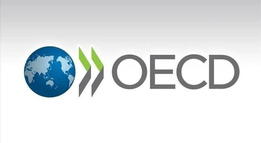 OECD: Türkiyede dezenflasyonun devam etmesi bekleniyor