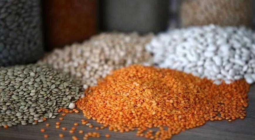 Hububat ve baklagillerin hasat süreci başarıyla tamamlandı