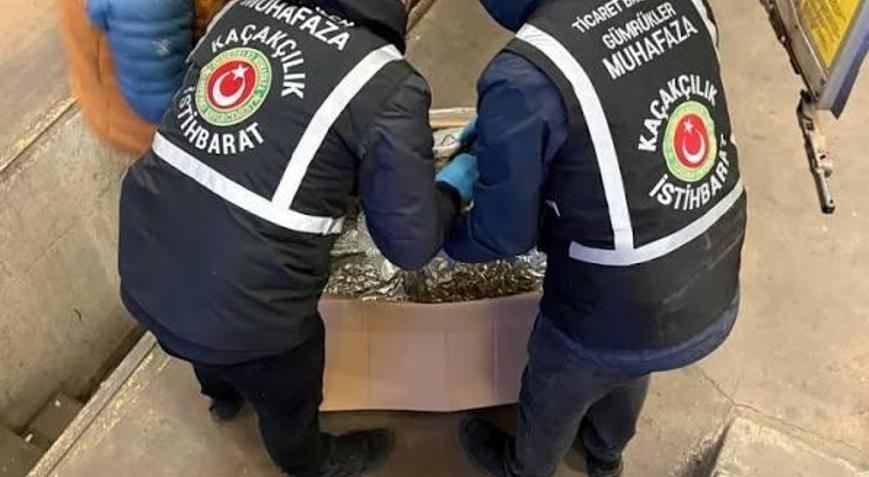 Gümrükler Muhafaza ekipleri zehir tacirlerine göz açtırmadı